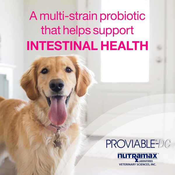 Nutramax Laboratories Proviable Digestive Health Supplement Multi-Strain Probiotics and Prebiotics for Dogs, With 7-Strains of Bacteria, 60 Chewable Tablets - Image 3