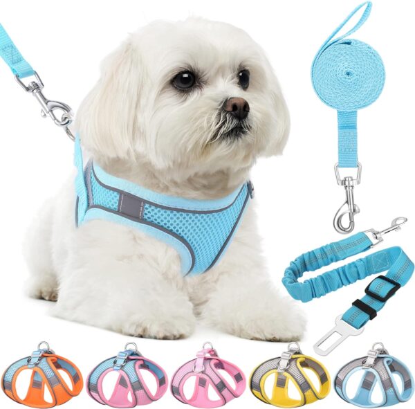 Dog Harness for Small Dogs Leashes Set,Soft No Pull Adjustable Breathable Mesh Leash and Harness Vest Belt for Puppy,Small,Medium Dogs and Cats.（BE-XS）