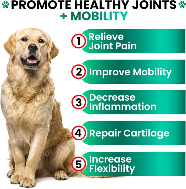 Hemp Hip and Joint Supplement for Dogs - Glucosamine for Dogs - 170 Dog Joint Pain Relief Treats - Chondroitin, MSM, Hemp Oil - Advanced Dog Joint Supplement Health - Mobility Support Chews - Image 2