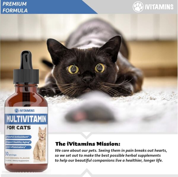 Cat Multivitamin - Supports Immune Health, Skin, Coat, Heart Health & More - Cat Vitamins - Cat Supplements & Vitamins - Cat Vitamins for Indoor Cats - Kitten Vitamins - Cat Immune Support - 1 oz - Image 8