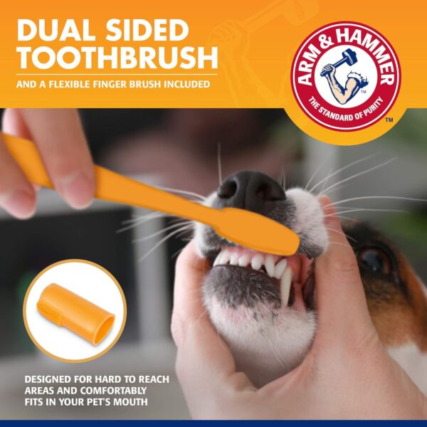 Arm & Hammer for Pets Tartar Control Kit for Dogs | Contains Toothpaste, Toothbrush & Fingerbrush | Reduces Plaque & Tartar Buildup | Safe for Puppies, 3-Piece , Beef Flavor - Image 4