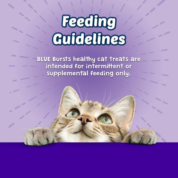 Blue Buffalo Bursts Crunchy Cat Treats, Chicken Liver and Beef 12-oz tub - Image 6