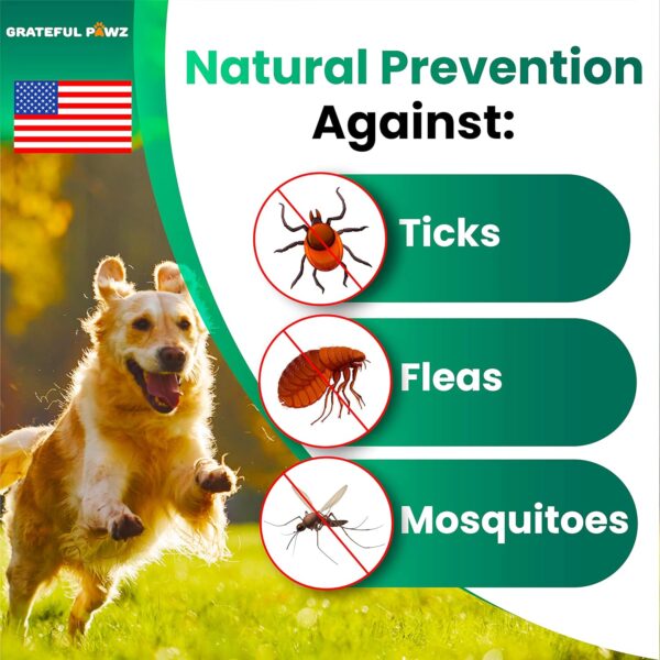 Flea and Tick Prevention for Dogs Chewables - Made in USA - Natural Flea and Tick Chews Supplement for Dogs - Oral Flea Pills for Dogs - Pest Defense - All Breeds and Ages - 120 Soft Tablets - Image 2