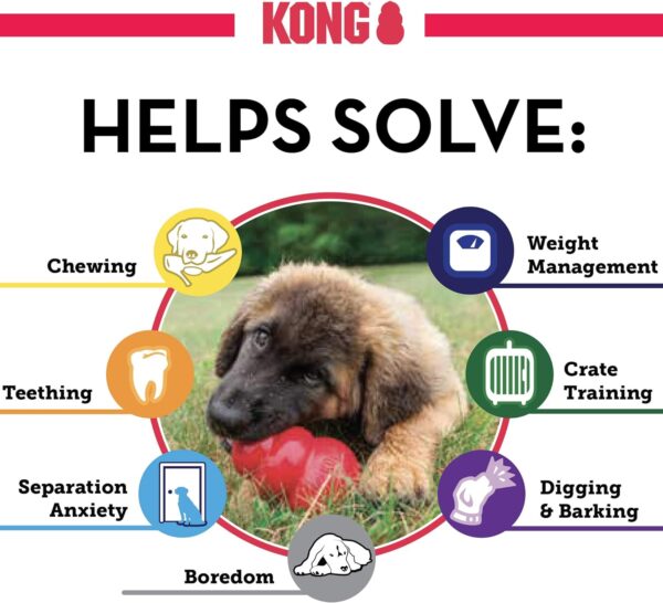 KONG Classic Stuffable Dog Toy - Fetch & Chew Toy for Dogs - Treat-Filling Capabilities & Erratic Bounce for Extended Play Time - Durable Natural Rubber Material - for Medium Dogs - Image 5