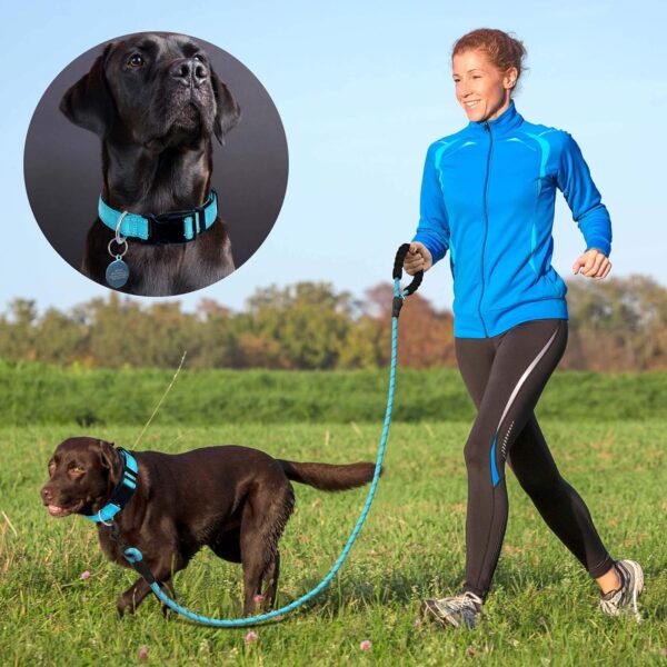 Reflective Dog Collar Padded with Soft Neoprene Breathable Adjustable Nylon Dog Collars for Small Medium Large Dogs (Small (Pack of 1), Blue Collar+Leash) - Image 5