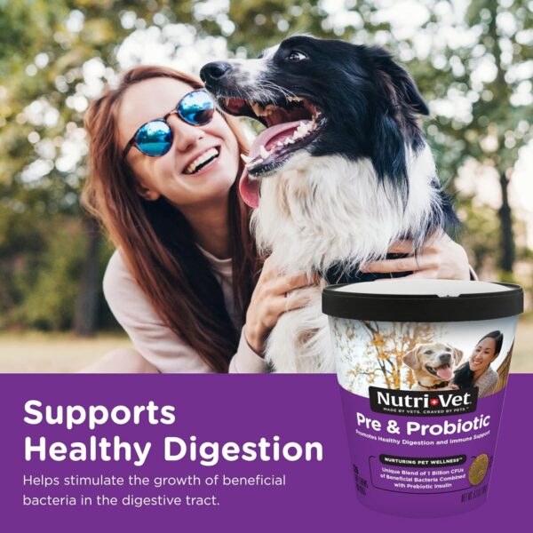 Nutri-Vet Pre and Probiotic Soft Chews for Dogs | Digestive Health Support | Tasty Alternative to Probiotic Powder | 120 Soft Chews - Image 4