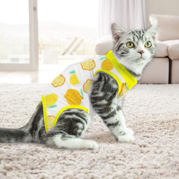 Cat Professional Surgical Recovery Suit,E-Collar Alternative for Cats Dogs,After Surgery Wear, Pajama Suit,Home Indoor Pets Clothing (M (6-8 1bs), Lemon) - Image 7