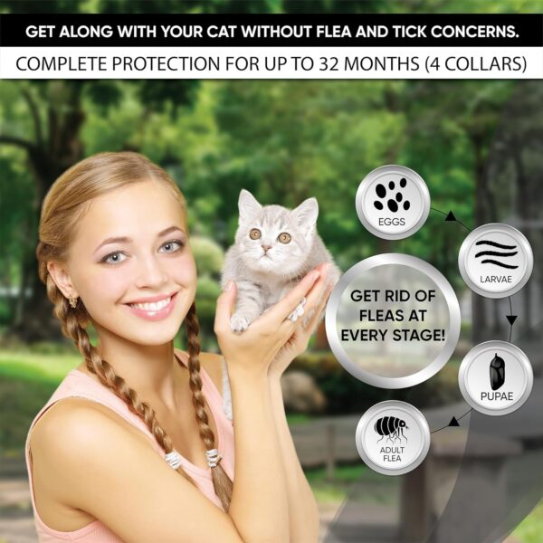 Flea Collar for Cats: 4 Pack Cat Flea Collar - Flea and Tick Collar for Cats - Cat Flea and Tick Collar - Kitten Flea Collar, 4 Pack - Image 3