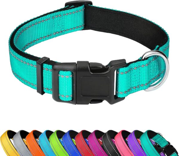 Reflective Dog Collar, Adjustable Soft Neoprene Padded Nylon Pet Collars with Buckle for Small Dogs, Teal,S