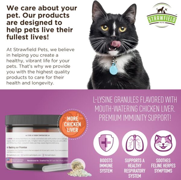 Strawfield Pets L-Lysine for Cats Supplement Powder Granules for Cat Cold, Sneezing, Congestion, Running Nose, Respiratory, Allergy Relief | Cats & Kittens of All Ages | Cat Health Supplies - Image 5