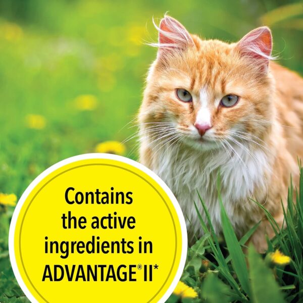 TevraPet Actispot II Flea Treatment for Large Cats 9+ lbs | 6 Doses | Powerful Prevention and Control - Image 5