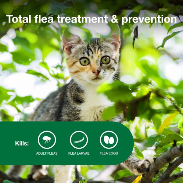 Advantage II Kitten Vet-Recommended Flea Treatment & Prevention | Cats 2-5 lbs. | 2-Month Supply - Image 4