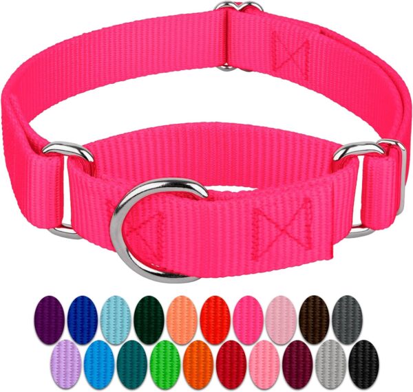 Country Brook Petz Martingale Dog Collar - Heavy-Duty Training Collar with No Buckle - Service Dog Collar for All Pups - Vibrant, Colorful Collection - Medium, Hot Pink