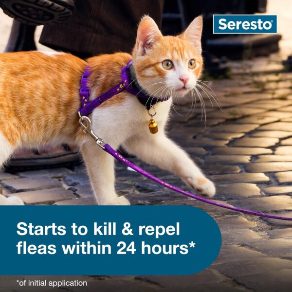 Seresto Cat Vet-Recommended Flea & Tick Treatment & Prevention Collar for Cats | 8 Months Protection - Image 3