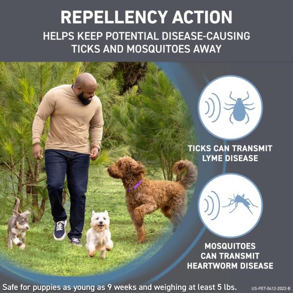 FRONTLINE Shield Flea & Tick Treatment for Large Dogs 41-80 lbs., Count of 3 - Image 3