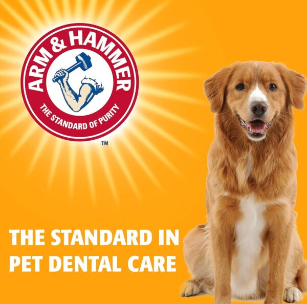 Arm & Hammer for Pets Advanced Care Dental Water Additive for Cats | Cat Teeth Cleaning Product for All Cats | Odorless and Flavorless Cat Dental Rinse, 8 Ounces - Image 7