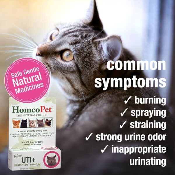 HomeoPet Feline UTI Plus Urinary-Tract Relief, Urinary-Tract Support for Cats, 15 Milliliters - Image 3