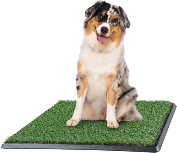 Artificial Grass Puppy Pee Pad for Dogs and Small Pets - 20x25 Reusable 3-Layer Training Potty Pad with Tray - Dog Housebreaking Supplies by PETMAKER