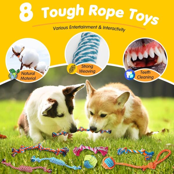 Zeaxuie 25 Pack Luxury Dog Chew Toys for Puppy, Dog Toys with Ropes Puppy Chew Toys, Treat Ball and Squeaky Puppy Toys for Teething Small Dogs - Image 4