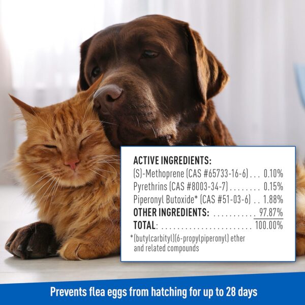 Adams Plus Flea & Tick Shampoo with Precor for Cats, Kittens, Dogs & Puppies Over 12 Weeks Of Age Sensitive Skin Flea Treatment | Kills Adult Fleas, Flea Eggs, Ticks, and Lice| 12 Ounces - Image 7