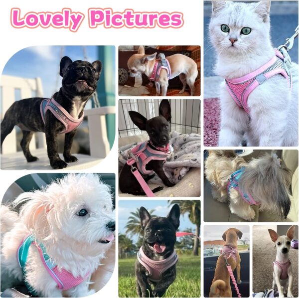 Soft Small Dog Harness and Leash Set Step in Air Mesh Puppy Harness Leash Easy Walk Dog Harness Vest Adjustable Reflective No Pull Dog Harnesses for Small Dogs Cats (Pink,XXS) - Image 2