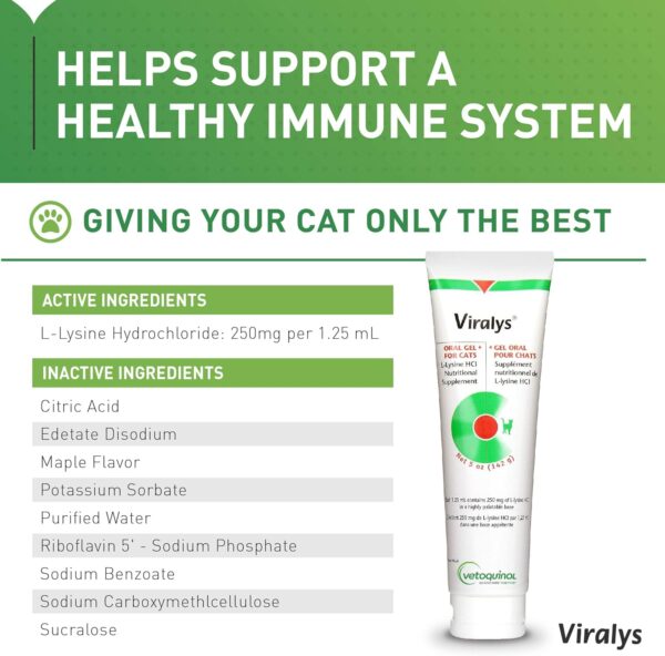 Vetoquinol Viralys Gel L-Lysine Supplement for Cats, 5oz - Cats & Kittens of All Ages - Immune Health - Sneezing, Runny Nose, Squinting, Watery Eyes - Palatable Maple Flavor Lysine Gel - Image 2