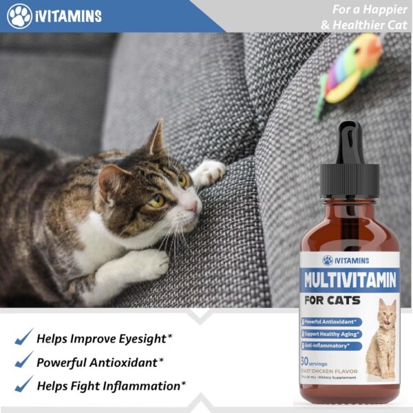 Cat Multivitamin - Supports Immune Health, Skin, Coat, Heart Health & More - Cat Vitamins - Cat Supplements & Vitamins - Cat Vitamins for Indoor Cats - Kitten Vitamins - Cat Immune Support - 1 oz - Image 5