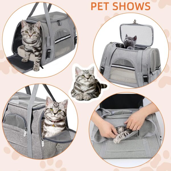 Pet Carrier Bag Airline Approved for Cats and Dogs Up to 20LBs, with Soft Travel Bag, Harness, Nail Clipper, Brush, Foldable Bowl - Image 2