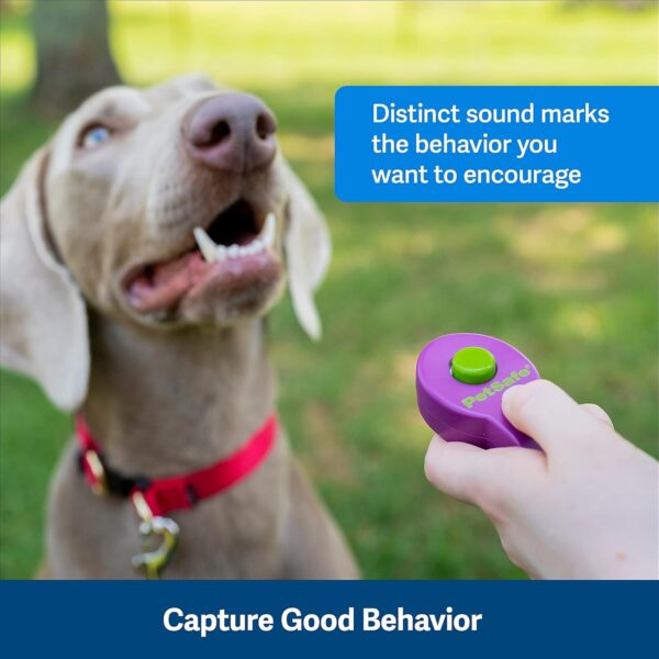 PetSafe Clik-R Dog Training Clicker - Positive Behavior Reinforcer for Pets - All Ages, Puppy and Adult Dogs - Use to Reward and Train - Training Guide Included - Purple - Image 2