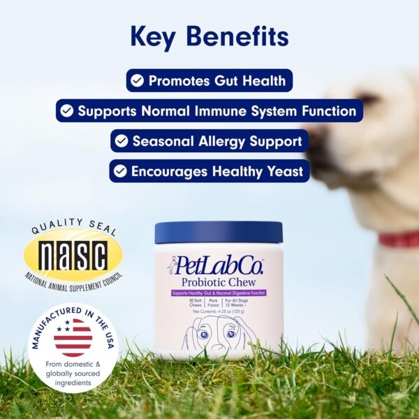 PetLab Co. Probiotics for Dogs, Support Gut Health, Diarrhea, Digestive Health & Seasonal Allergies - Pork Flavor - 30 Soft Chews - Packaging May Vary - Image 2