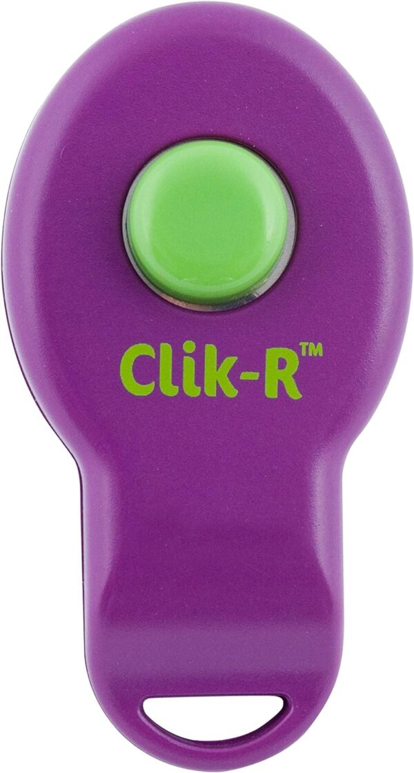 PetSafe Clik-R Dog Training Clicker - Positive Behavior Reinforcer for Pets - All Ages, Puppy and Adult Dogs - Use to Reward and Train - Training Guide Included - Purple - Image 8