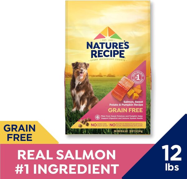 Nature’s Recipe Grain Free Salmon, Sweet Potato & Pumpkin Recipe Dry Dog Food, 12 lb. Bag - Image 3