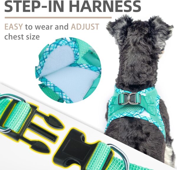 PUPTECK Dog Harness and Leash Set for Small Medium Dogs No Pull Step-in Soft Mesh Puppy Cat Vest Harnesses Reflective at Night, Green S - Image 4