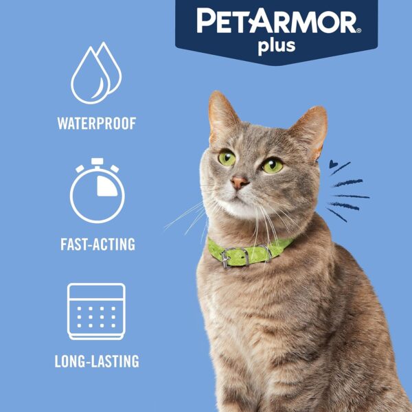 PetArmor Plus Flea and Tick Prevention for Cats, Cat Flea and Tick Treatment, 1 Dose, Waterproof Topical, Fast Acting, Cats Over 1.5 lbs - Image 6