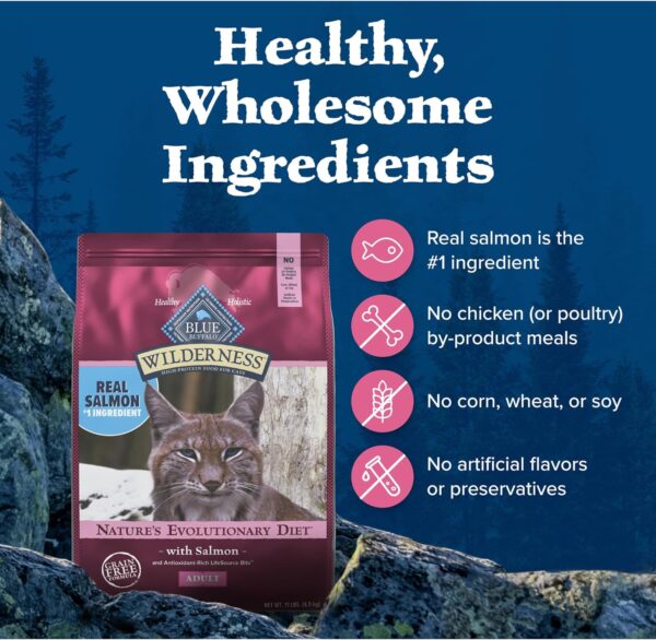 Blue Buffalo Wilderness High Protein, Natural Adult Dry Cat Food, Salmon 11-lb - Image 6