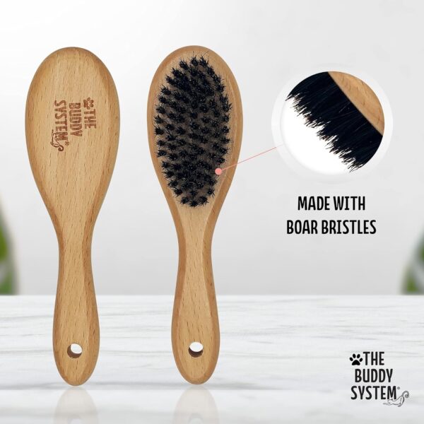 The Buddy System Cat Brush with Boar Bristle and Wooden Handle, Professional Grade Daily Grooming Hairbrush, Reduce Shedding, Soft Hair and Healthy Shine (1 Pack) - Image 2