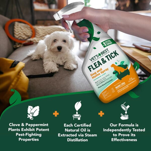 Vet's Best Flea and Tick Home Spray - Dog Flea and Tick Treatment for Home - Plant-Based Formula - Certified Natural Oils,Green - 32 oz - Image 8