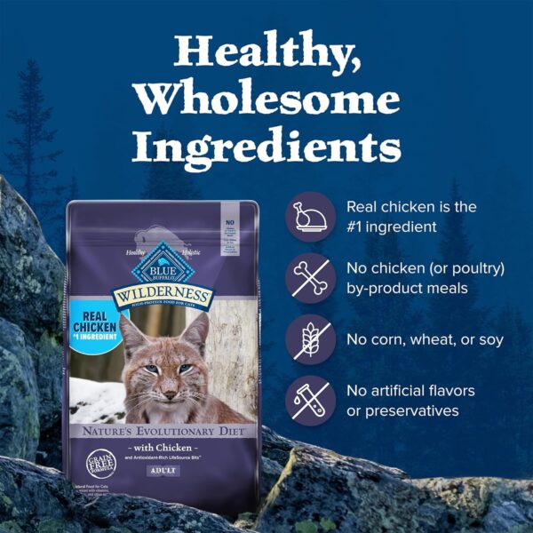 Blue Buffalo Wilderness Natural Adult Dry Cat Food, High-Protein and Grain-Free Diet, Supports Healthy Muscle Development and a Healthy Immune System, Chicken, 12-lb. Bag - Image 6