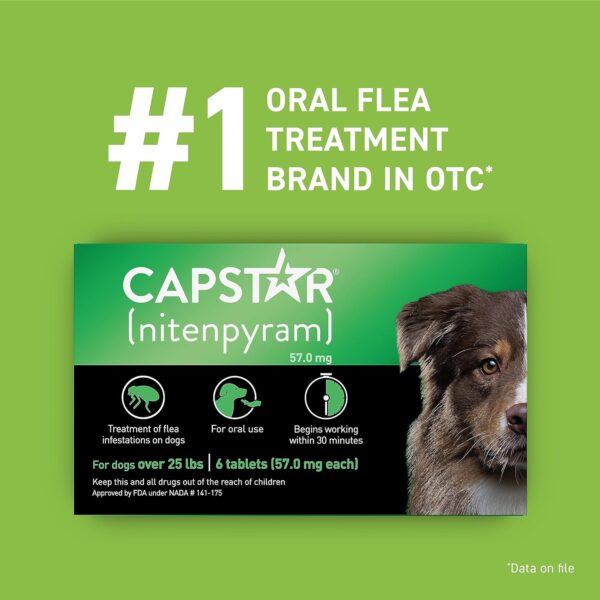 Capstar (nitenpyram) for Dogs, Fast-Acting Oral Flea Treatment for Dogs over 25+ lbs, Vet-Recommended Flea Medication Tablets Start Killing Fleas in 30 Minutes, 6 Doses - Image 2