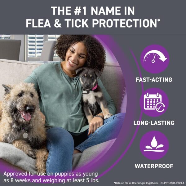 FRONTLINE Plus Flea and Tick Treatment for Large Dogs Up to 45 to 88 lbs., 3 Treatments - Image 2