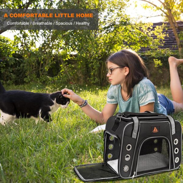 Lifeand Cat Carrier for Large and Medium Cats Under 18lb, Collapsible Soft Sided Pet Carrier, Dog Carrier, Airline Approved for Cats, Small Dogs, Kitten, Pet Privacy Protection Travel Carrier - Image 5