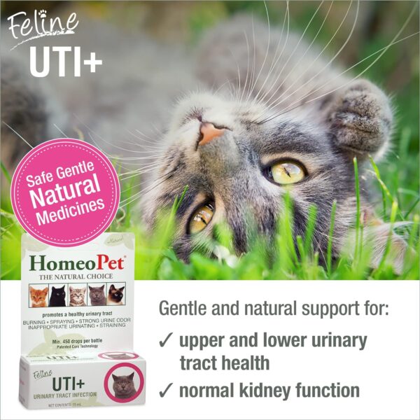 HomeoPet Feline UTI Plus Urinary-Tract Relief, Urinary-Tract Support for Cats, 15 Milliliters - Image 2