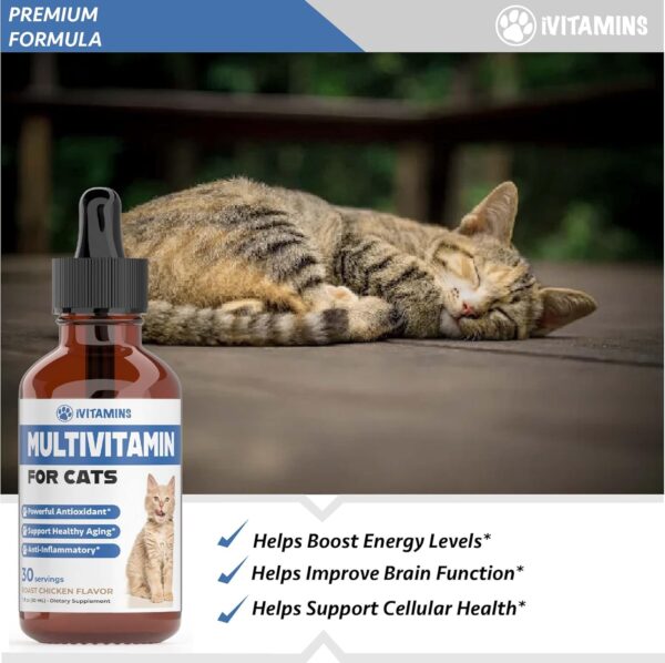 Cat Multivitamin - Supports Immune Health, Skin, Coat, Heart Health & More - Cat Vitamins - Cat Supplements & Vitamins - Cat Vitamins for Indoor Cats - Kitten Vitamins - Cat Immune Support - 1 oz - Image 3