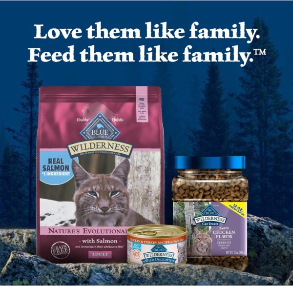 Blue Buffalo Wilderness High Protein, Natural Adult Dry Cat Food, Salmon 11-lb - Image 9