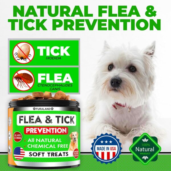 Flea and Tick Prevention for Dogs Chewables - Made in USA - Natural Flea and Tick Supplement for Chews - Oral Flea Pills - No Mess | No Collars - All Breeds and Ages - Tasty Soft Tablets - Image 3