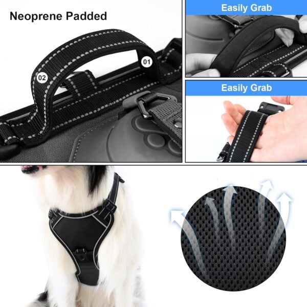 Dog Harness Medium Sized Dog, 2 in 1 No Pull Reflective Dog Harness&Retractable Dog Leash, Fully Adjustable Puppy Harness with Padded Vest Hands Free Dog Leash, for Dogs(M-Black) - Image 6