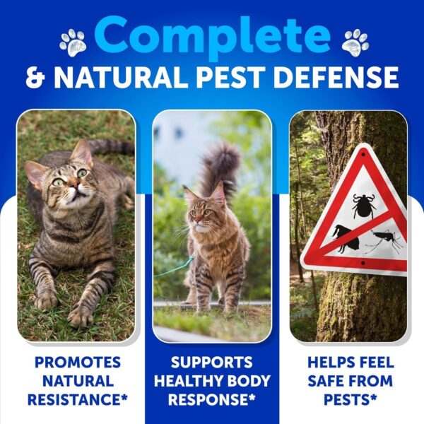 Flea Treatment for Cats - Flea and Tick Prevention for Cats Chewables - Natural Flea and Tick Supplement for Cats - Oral Flea Pills for Cats - All Breeds and Ages - Made in USA - Image 3