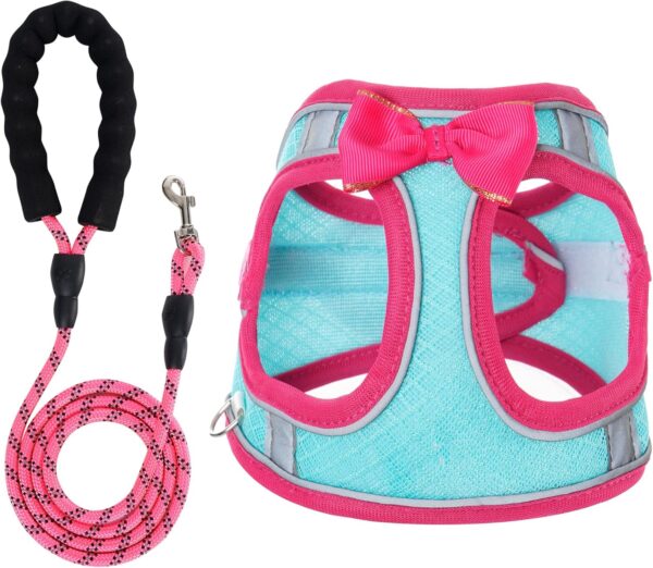 Dog Harness with Leash Set, Step-in Breathable Puppy Cat Dog Vest Harnesses, No Pull Adjustable Reflective Puppy Harness with Soft Padded Vest for Extra-Small/Small Medium Large Dogs and Cats