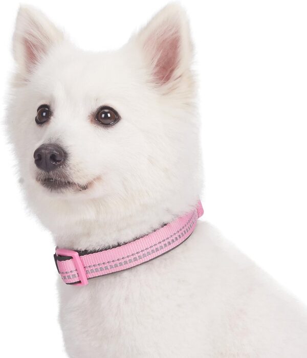 Blueberry Pet Soft & Safe 3M Reflective Neoprene Padded Adjustable Dog Collar - Baby Pink Pastel Color, Small, Neck 12"-16" - Image 3