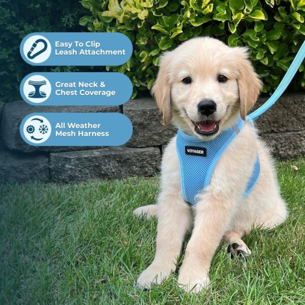 Voyager Step-in Air Dog Harness - All Weather Mesh Step in Vest Harness for Small and Medium Dogs and Cats by Best Pet Supplies - Harness (Baby Blue), M (Chest: 16-18") - Image 3